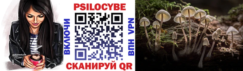 как найти закладки  Ардон  Галлюциногенные грибы GOLDEN TEACHER 