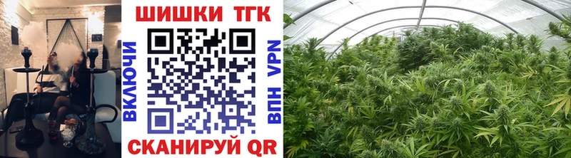как найти наркотики  Ардон  кракен   сайты даркнета Telegram  Канабис планчик 